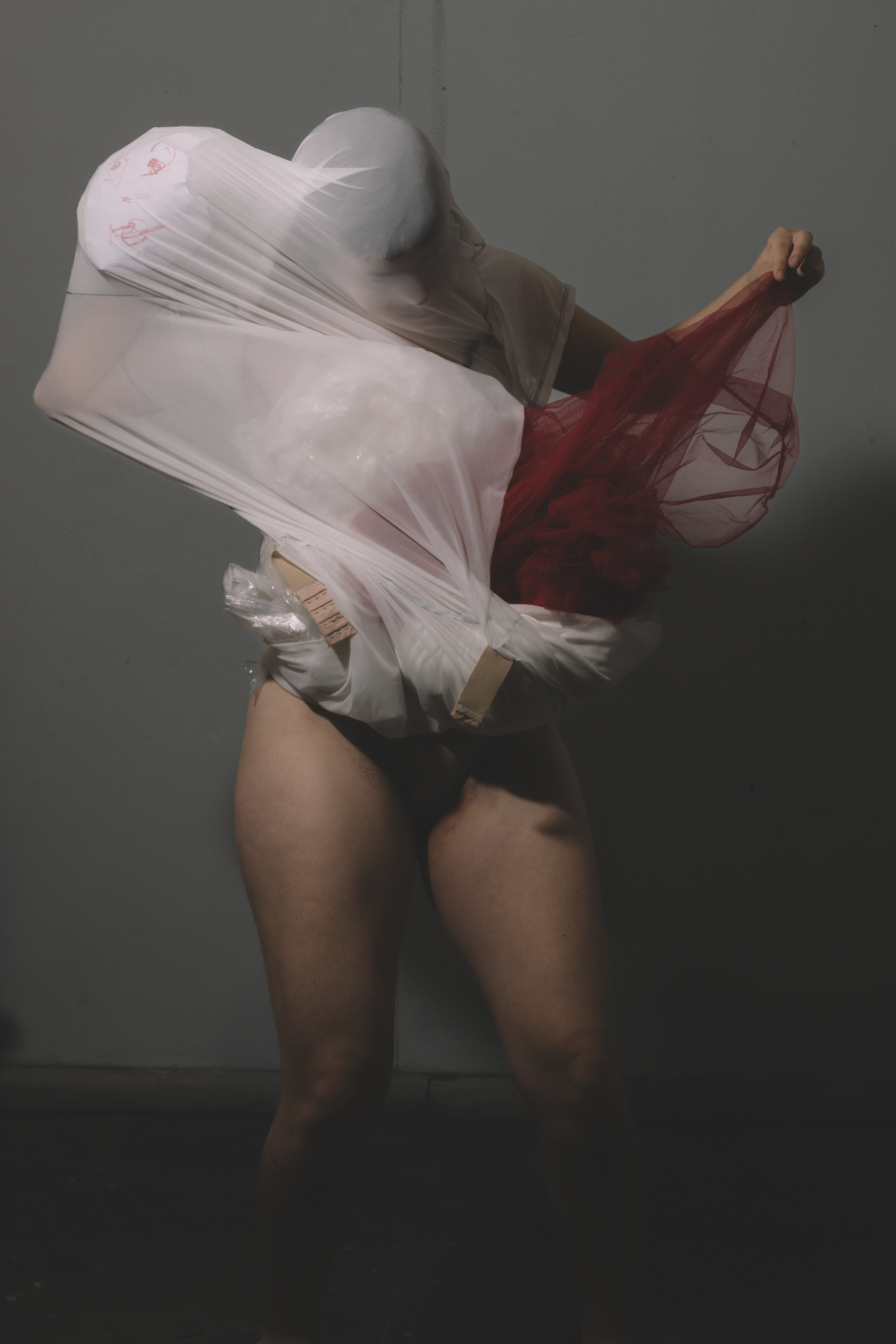Clementine - ph: @brian.ph_